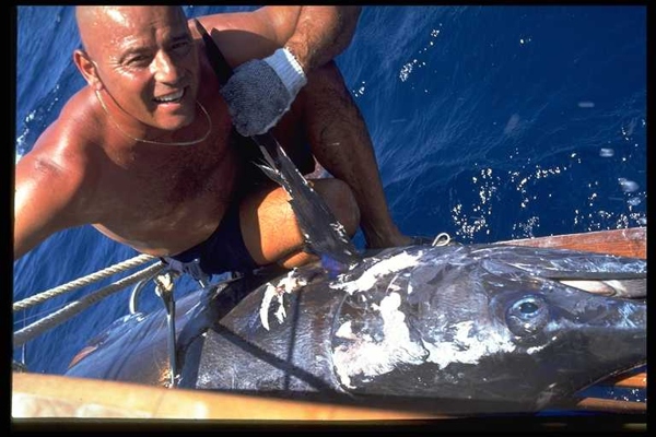 Just landed a Sailfish