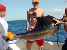 Nice sized Sailfish