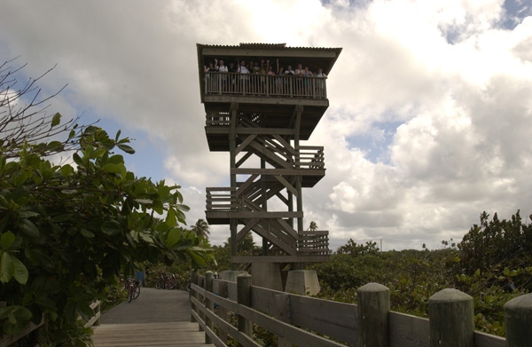 One of several observation towers