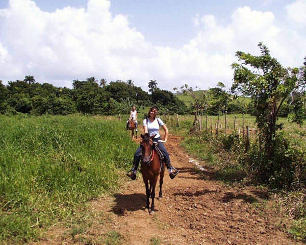 Great opportunities for photographs